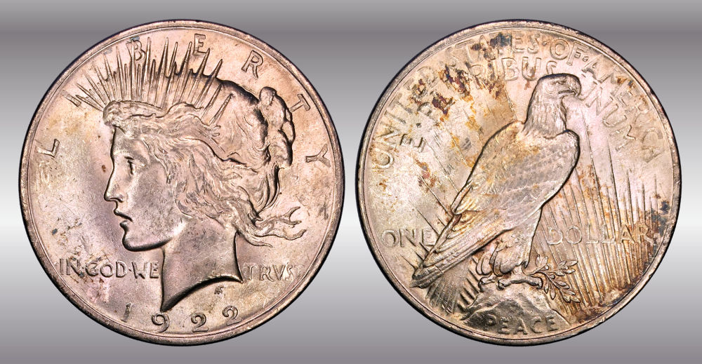 My-Raw-Peace-Dollar-Collection.-.-.-.-Warning!